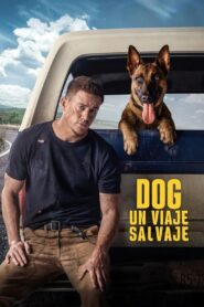 Dog – Un viaje salvaje