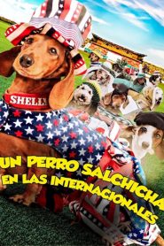 Wiener Dog Internationals