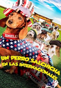 Wiener Dog Internationals