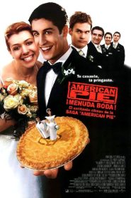 American Pie ¡Menuda boda!